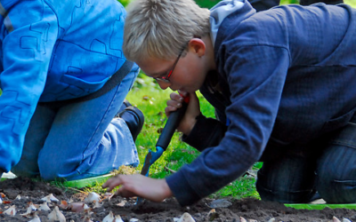 Waarom is het goed om samen met kinderen bloembollen te planten?